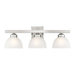 Livex Somerset Bath Light 4203-91