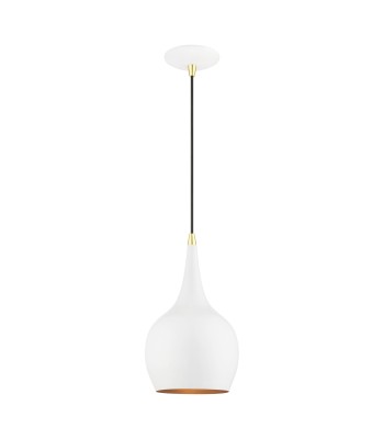 Livex Andes Ceiling Pendant 49016-69