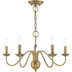 Livex Windsor Chandelier 52165-01
