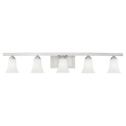 Livex Ridgedale Bath Light 6485-91