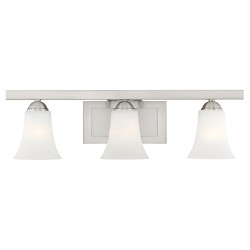 Livex Ridgedale Bath Light 6493-91