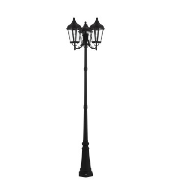 Livex Morgan Outdoor Post Lantern 76198-14
