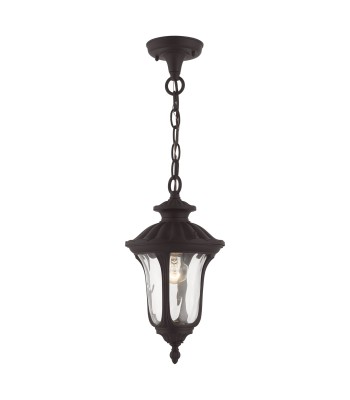 Livex Oxford Outdoor Pendant Lantern 7849-07