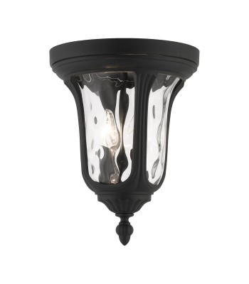 Livex Oxford Outdoor Ceiling Lantern 7861-14