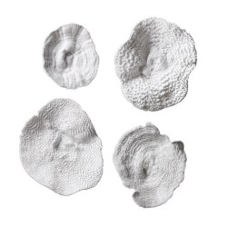 Uttermost Sea Coral Wall Art 20170