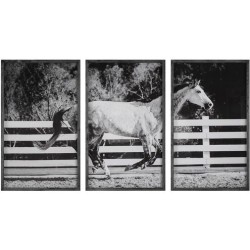 Uttermost Galloping Forward Equine Prints 32279