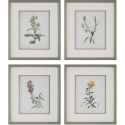 Uttermost Heirloom Blooms Framed Prints 32285