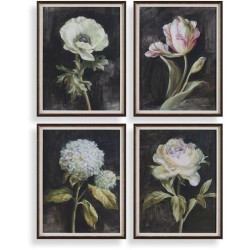 Uttermost Florals On Black Framed Prints 32426