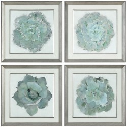 Uttermost Natural Beauties Prints 33679