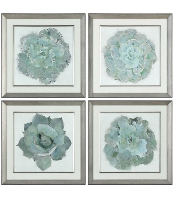 Uttermost Natural Beauties Prints 33679