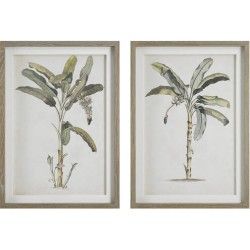 Uttermost Banana Palm Framed Prints 41446