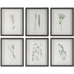 Uttermost Forest Finds Framed Prints 41459