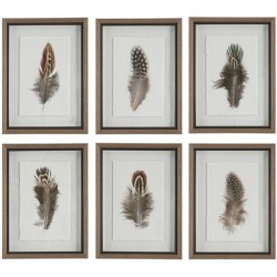 Uttermost Birds Of A Feather Framed Prints 41460