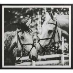 Uttermost Apple Of My Eye Framed Print 41465