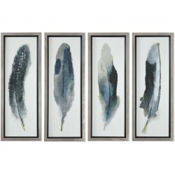 Uttermost Feathered Beauty Art Prints 41554