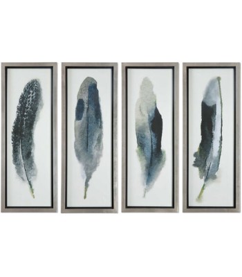 Uttermost Feathered Beauty Art Prints 41554