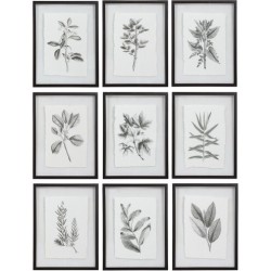 Uttermost Farmhouse Florals Framed Prints 41617