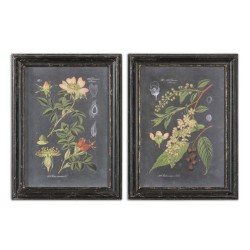 Uttermost Midnight Botanicals Art Prints 56053