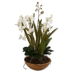 Uttermost Moth Orchid Planter Botanical 60039