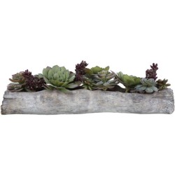 Uttermost Charita Succulents 60174