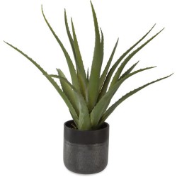 Uttermost Tucson Aloe Planter 60204