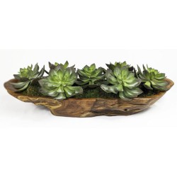Uttermost Yuma Succulent Centerpiece 60205